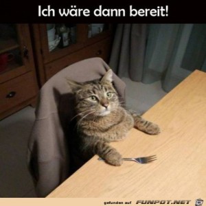 fun-Bild: Bereit fürs Essen