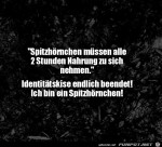 Spitzhrnchen.jpg auf www.funpot.net