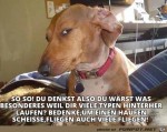 Dieser-Blick.jpg auf www.funpot.net