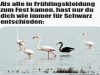 weiter