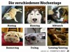 weiter
