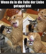 Der-Liebe-verfallen.jpg auf www.funpot.net