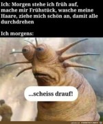Was-interessieren-mich-meine-Vorstze-von-gestern.jpg auf www.funpot.net
