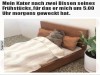 weiter