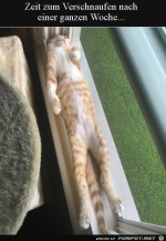 Erst-mal-relaxen.jpg auf www.funpot.net