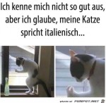 Meine-Katze-spricht-italienisch.jpg auf www.funpot.net