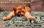 Bin-ich-kaputt.jpg auf www.funpot.net