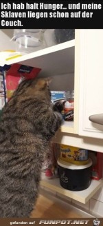 Ich-hab-Hunger.jpg auf www.funpot.net