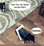 Wie-luft-die-Dit?.jpg auf www.funpot.net