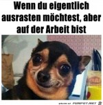 Ich-bin-auf-der-Arbeit.jpg auf www.funpot.net