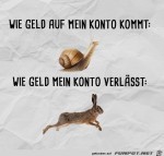 Geld.jpg auf www.funpot.net
