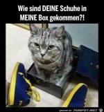 Das-ist-meine-Box.jpg auf www.funpot.net