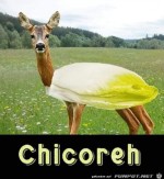 Schickes-Tier.jpg auf www.funpot.net