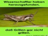 weiter