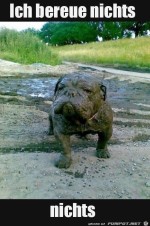 Hund-bereut-nichts.jpg auf www.funpot.net