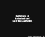 Tausendfler.jpg auf www.funpot.net