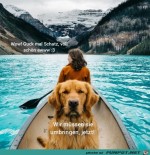 Hund-hat-einen-Wunsch.jpg auf www.funpot.net