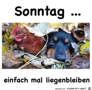 Begr&uuml;&szlig;ungsbild