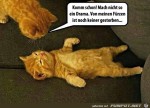 Katze-soll-kein-Drama-machen.jpg auf www.funpot.net