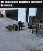 guckt-euch-die-Karte-an.jpg auf www.funpot.net