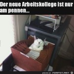 Fauler-neuer-Mitarbeiter.jpg auf www.funpot.net