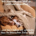 Wild-und-ungezhmt.jpg auf www.funpot.net