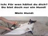 weiter