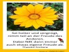 weiter
