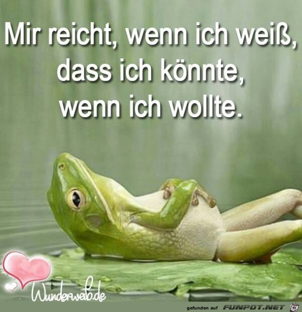 wenn ich wollte wenn ich wollte