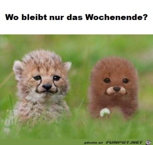 Begrüßungsbild