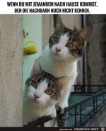 Neugierige-Blicke.jpg auf www.funpot.net