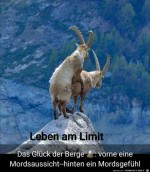 Leben-am-Limit.jpg auf www.funpot.net
