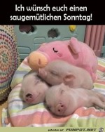Saugemtliches-Wochenende.jpg auf www.funpot.net