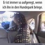 Komischer-Hund.jpg auf www.funpot.net