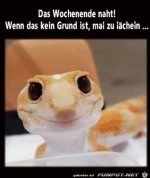 Ein-Grund-zum-Lcheln.jpg auf www.funpot.net
