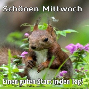 Begrüßungsbild