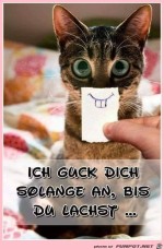 Lach-endlich.jpg auf www.funpot.net