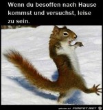 Wenn-du-leise-sein-willst.jpg auf www.funpot.net
