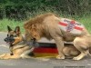 weiter