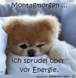voll-Energie.jpg auf www.funpot.net