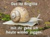 weiter