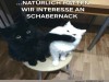 weiter