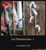 Palmktzchen.jpg auf www.funpot.net