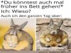weiter