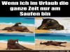weiter