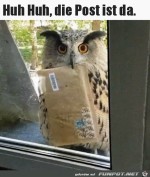 Die-Post-ist-da.jpg auf www.funpot.net