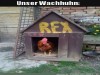 weiter