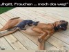 weiter