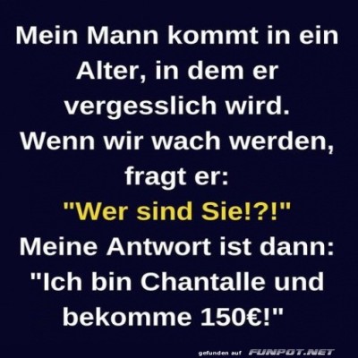 Vergesslicher-Ehemann-und-Chantalles-Trick.jpg von Josie-96
