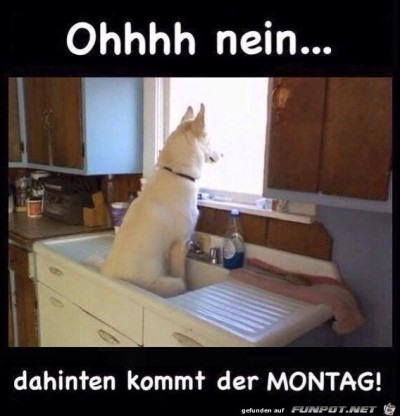Der-Montag.jpg von Desiree